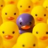 Purple ducky standing out from yellow duckies