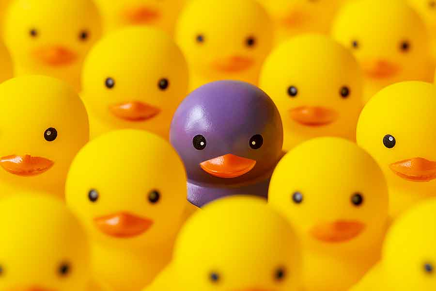 Purple ducky standing out from yellow duckies